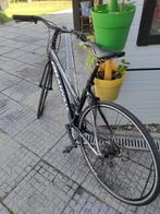 City bike/vrouwenfiets, Versnellingen, Ophalen, Overige merken, 53 tot 56 cm