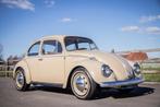 VOLANT BLANC POUR VW Volkswagen Beetle 1300/OLDTIMER/CUIR, Autos, Cuir, Beige, Propulsion arrière, Achat