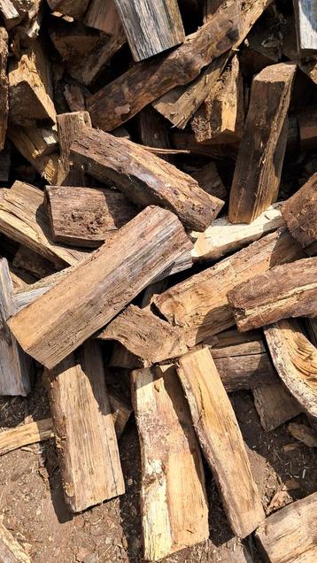 Droog brandhout beuk en eik 33cm beschikbaar voor biedingen