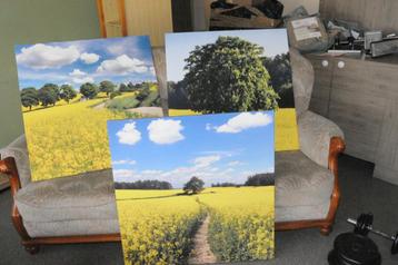 3 foto's foto op doek wand decoratie beschikbaar voor biedingen