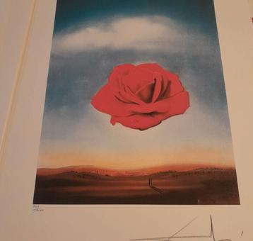 Salvador Dali, Meditatieve roos