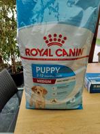 Royal canin Medium Puppy, Animaux & Accessoires, Nourriture pour Animaux, Chien, Enlèvement