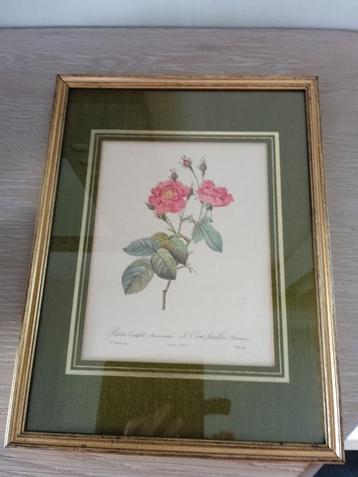 vintage grote houten goudkleurige kader met bloemprent beschikbaar voor biedingen