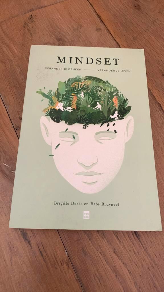 Brigitte Derks - Mindset, Boeken, Psychologie, Nieuw, Ophalen of Verzenden