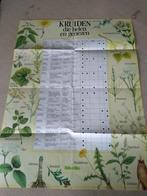 boek:onze geneeskruiden+geneeskrachtige plantengids in kleur, Ophalen of Verzenden, Kruiden en Alternatief