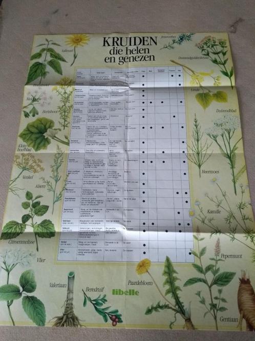 boek:onze geneeskruiden+geneeskrachtige plantengids in kleur, Boeken, Gezondheid, Dieet en Voeding, Kruiden en Alternatief, Ophalen of Verzenden