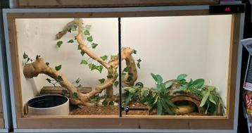 Avec terrarium complet 108Lx60px60h avec PR beschikbaar voor biedingen