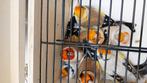 Distelvink 2023-2024, Dieren en Toebehoren, Vogels | Overige Vogels