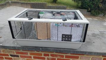 Hamsterkooi beschikbaar voor biedingen