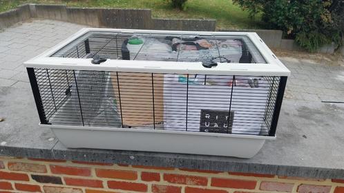 Hamsterkooi, Dieren en Toebehoren, Overige Dieren-accessoires, Gebruikt, Ophalen