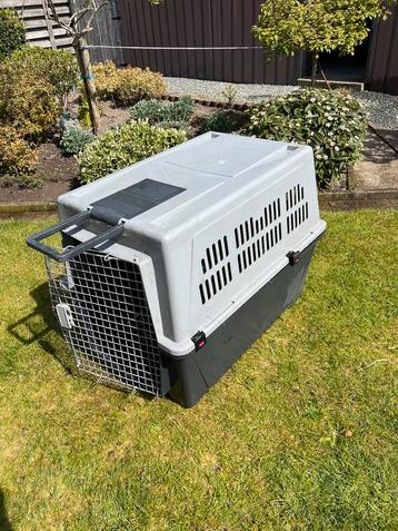 Hond kooi vliegtuig XXL, Enlèvement