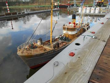 Evelyn rose beschikbaar voor biedingen