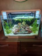 Superfish aquarium 40L,met jonge cichliden, Dieren en Toebehoren, Vissen | Aquaria en Toebehoren, Ophalen, Zo goed als nieuw