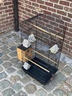 Vogelkooi, Dieren en Toebehoren, Ophalen, Zo goed als nieuw, Aluminium, Vogelkooi