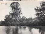 Postkaart Genk vijver, Ophalen of Verzenden, Ongelopen, Limburg