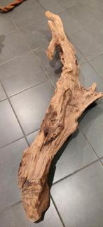 Teak wortel XL | +-140cm | Terrarium takken decoratie, Animaux & Accessoires, Reptiles & Amphibiens | Accessoires, Enlèvement
