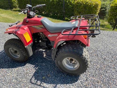 Quad kawasaki, Motoren, Quads en Trikes, Ophalen