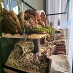 Hamster terrarium met vast voorschot, Animaux & Accessoires, Enlèvement ou Envoi, Moins de 60 cm, Hamster, Neuf