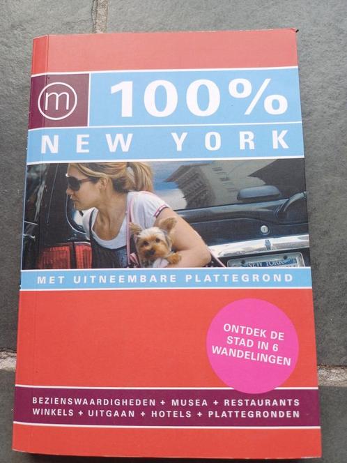 Pascal Theunissen - 100% New York, Boeken, Reisgidsen, Zo goed als nieuw, Budget, Ophalen of Verzenden