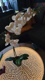 Fausse orchidée, très belle imitation (ikea), Ophalen of Verzenden, Zo goed als nieuw
