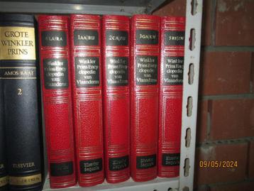 Encyclopedie van Vlaanderen beschikbaar voor biedingen