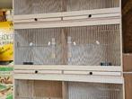 nieuwe houten kweekkooien, Dieren en Toebehoren, Ophalen of Verzenden, Nieuw, Hout