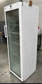 Koelkast Liebherr FKv 4112, Ophalen, Gebruikt