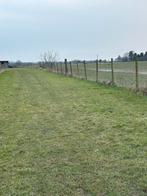 Weide te koop, Dieren en Toebehoren, 2 of 3 paarden of pony's