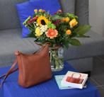 Delvaux Mascotte crossbody cognac, Handtassen en Accessoires, Tassen | Damestassen, Ophalen of Verzenden, Gebruikt, Bruin, Schoudertasje