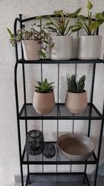 Metalen wand-muur rek.Plantenrek.., Ophalen, Zo goed als nieuw