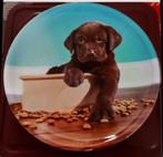 Assiette deco petit chien plastique, Enlèvement ou Envoi