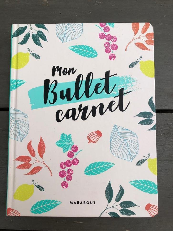 Mon bullet carnet Marabout Vierge et Neuf + de 350 stickers, Boeken, Kinderboeken | Jeugd | 10 tot 12 jaar, Nieuw, Non-fictie