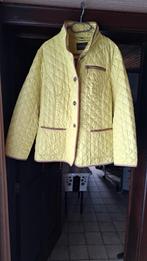 geelgroen jasje merk SARANDI  XXL, Kleding | Dames, Jassen | Zomer, SARANDI, Ophalen of Verzenden, Gedragen, Maat 46/48 (XL) of groter