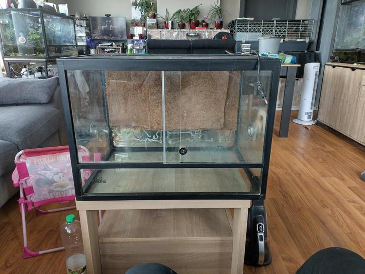 terrarium en verre 60x45x45 +fond coco et tapis chauffant, Dieren en Toebehoren, Reptielen en Amfibieën | Toebehoren, Gebruikt