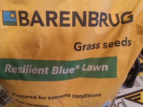 Graszaad sportgazon  fijnbladig, Tuin en Terras, Planten | Tuinplanten, Ophalen
