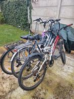 3 verschiedene fietse, Fietsen en Brommers, Ophalen of Verzenden, Zo goed als nieuw