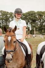 D pony new forest te koop, Dieren en Toebehoren, Ruin, L, D pony (1.37m tot 1.48m), Gechipt