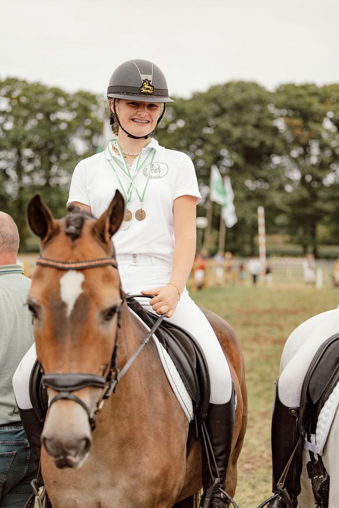 D pony new forest te koop, Dieren en Toebehoren, Pony's, Ruin, L, D pony (1.37m tot 1.48m), Met stamboom, Gechipt, Ontwormd, Ingeënt