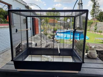 Vogelkooi, Enlèvement, Utilisé, Cage à oiseaux