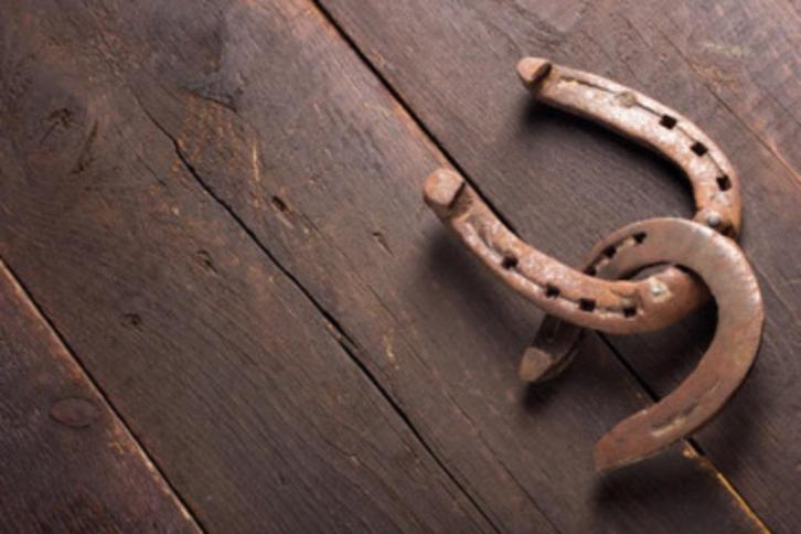 bekappen van paard pony en ezel, Dieren en Toebehoren, Paarden