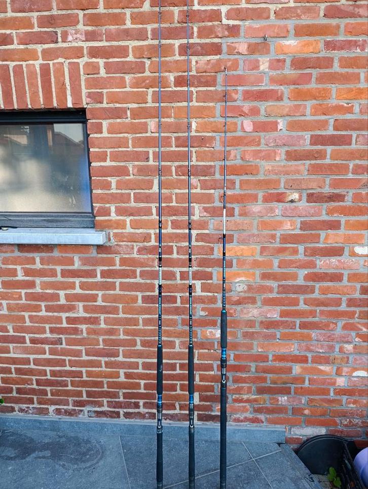 Boothengels zeehengels, Watersport en Boten, Hengelsport | Zeevissen, Gebruikt, Werphengel, Ophalen