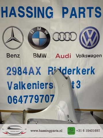 RENAULT CLIO III  ZIJSCHERM LINKS VOOR beschikbaar voor biedingen