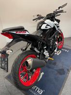 Suzuki GSX -125 S MY'22 réf. COMME 3274, Entreprise, Permis Moto A1 minimum, 1 cylindre, Naked bike