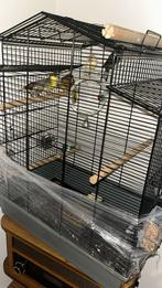 Canaries 25€ per stuk, Dieren en Toebehoren, Ophalen, Zo goed als nieuw