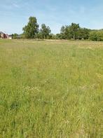 Weide te koop te Boortmeerbeek, Boortmeerbeek, Verkoop zonder makelaar, 1500 m² of meer
