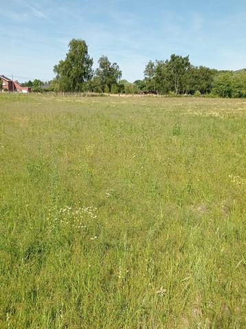 Weide te koop te Boortmeerbeek, Boortmeerbeek, Ventes sans courtier, 1500 m² ou plus