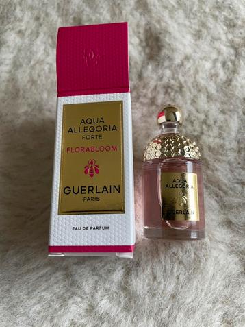 Aqua allegoria forte florabloom miniatuur beschikbaar voor biedingen