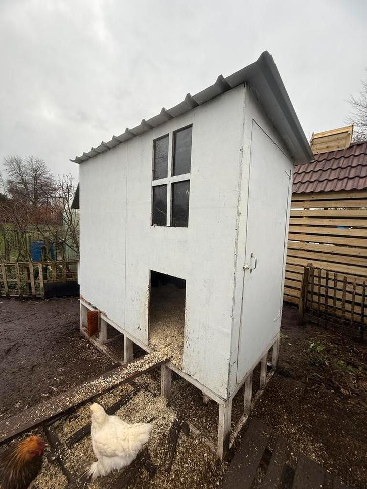 Geitenhok, kippenhok, mag direct weg, Animaux & Accessoires, Volatiles