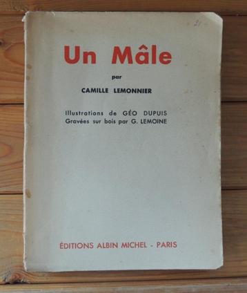 Livre - Un mâle beschikbaar voor biedingen