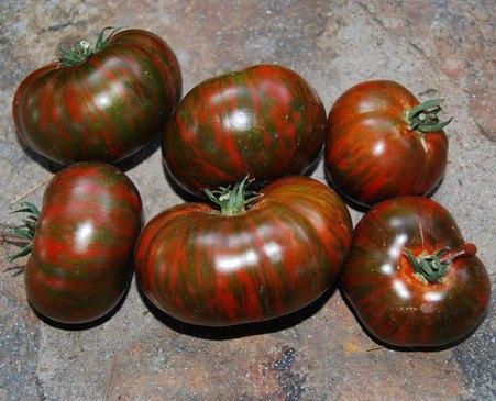 Chocolate Stripes - Graines de tomates, Jardin & Terrasse, Bulbes & Semences, Envoi